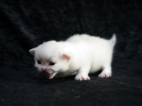 Olga am 8. März 2025